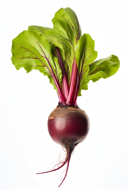 Beetwortel