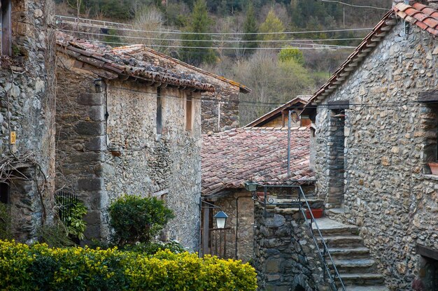 Beget