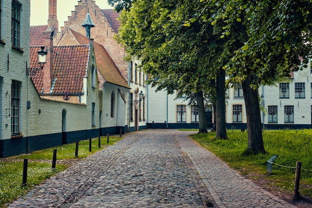 Begijnhof beghinaggio nella città di bruges brugge belgio