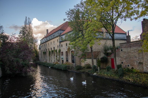 Begijnhof courtyyard in bruges belgium