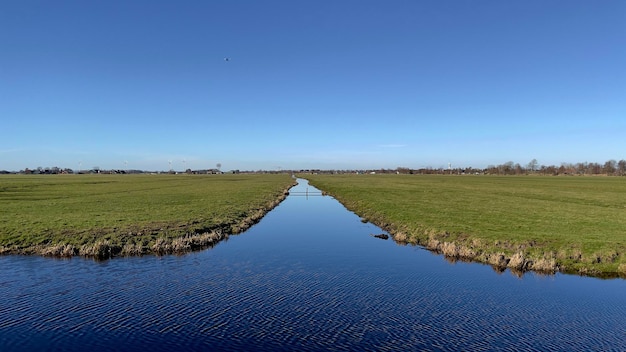 Foto begin van de lente