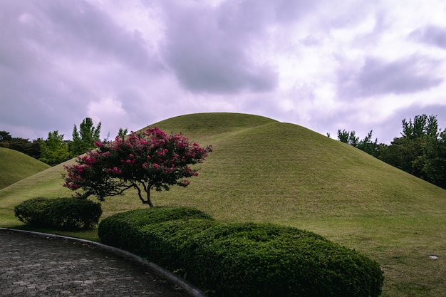 Foto begraafplaatsen in cheonmachong in gyeongju, zuid-korea