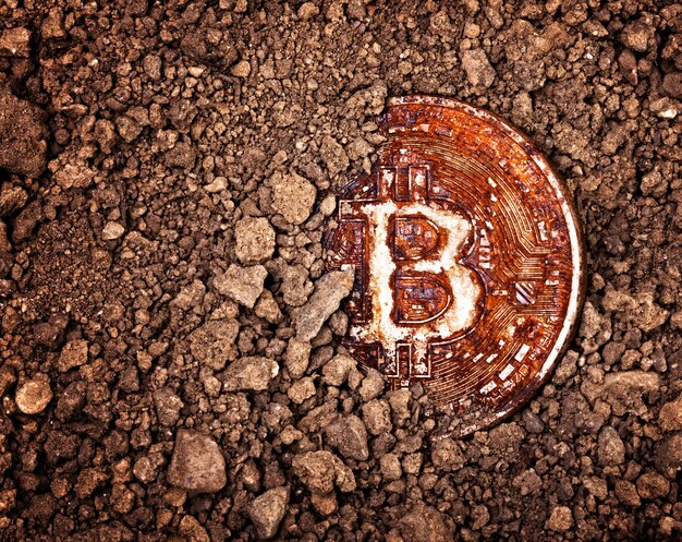 Begraven roestige bitcoin