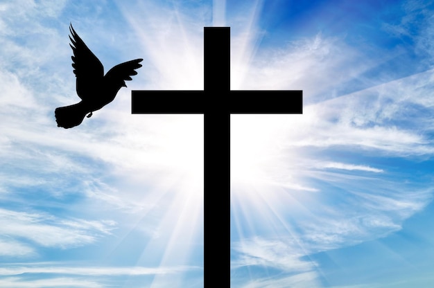 Begrip religie. Silhouet van een kruis en een duif in de lichtstralen op de achtergrond van de prachtige lucht