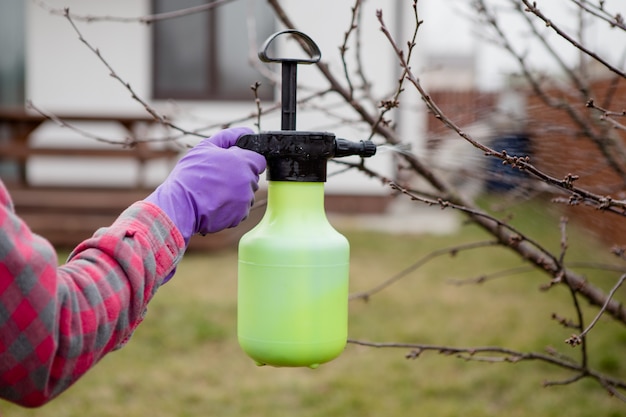 Behandeling met bestrijdingsmiddelen, ongediertebestrijding, uitroeiing van insecten op fruitbomen in de tuin, spuiten van gif uit een spuitfles, handen close-up.