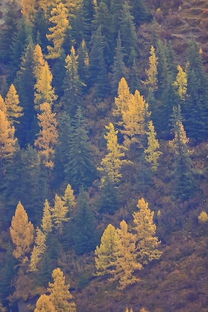 behang herfstlandschap berg altai, vrijheid romantische reis