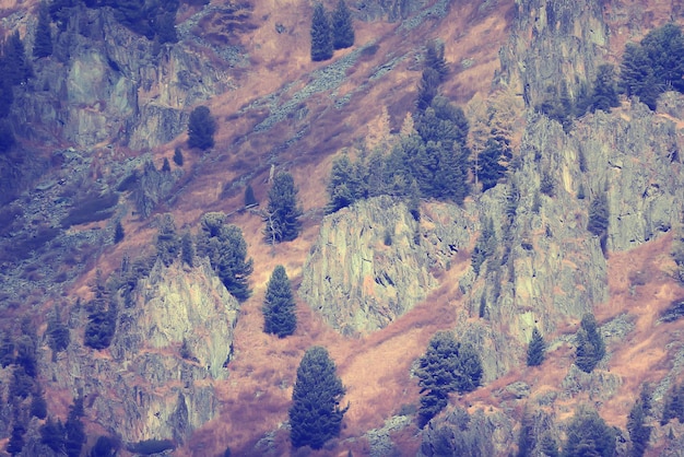 behang herfstlandschap berg altai, vrijheid romantische reis