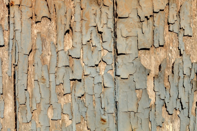 Foto behang verweerd hout