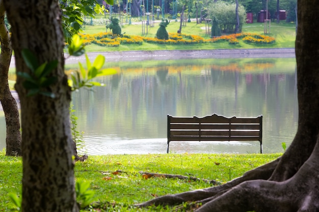 写真 公園の椅子の後ろ、木々や芝生、沼地