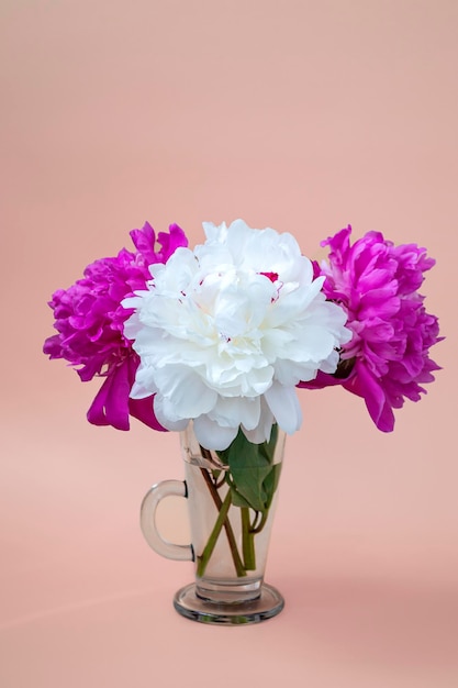 Photo on a beige background a bouquet of white and pink peonies in a glass close up vertical format