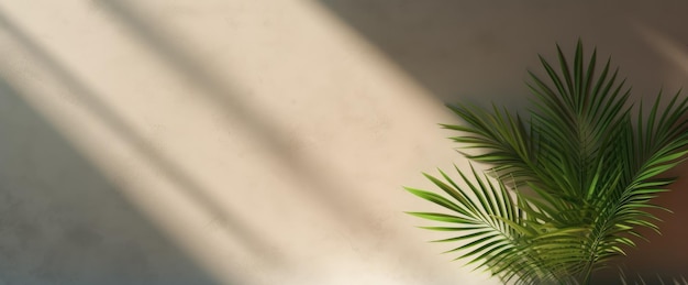 Beige background with shadow and palm leaves