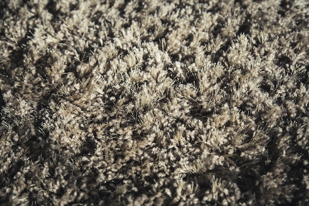 beige color domestic carpet texture 