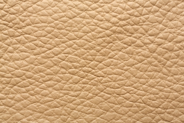 Texture in pelle di colore beige