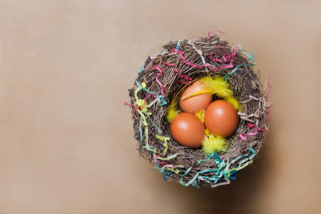 Beige easter eggs in nest on brown background with copy space flat lay with feather