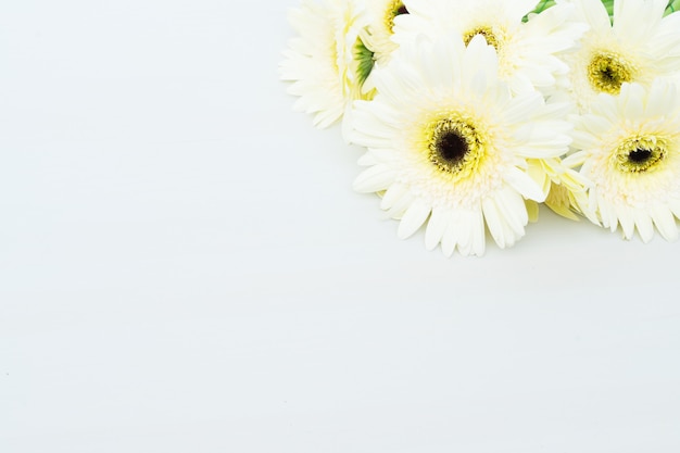 Beige gerbera flowers on gray wooden table