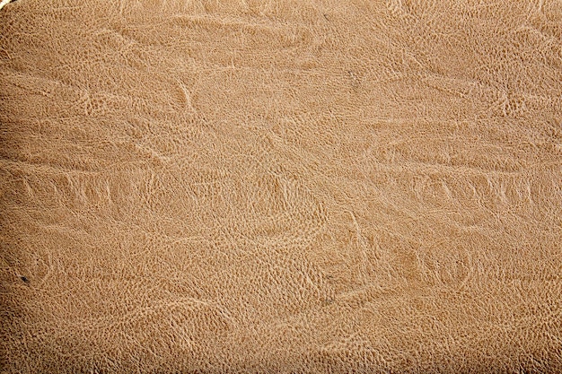 Photo a beige leather with a pattern of the word snake on it.