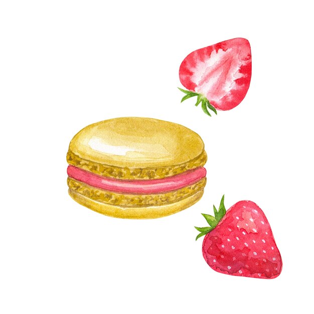 Beige macaron with red filling and strawberry. Hand drawn watercolor illustration. Isolated on white wall.