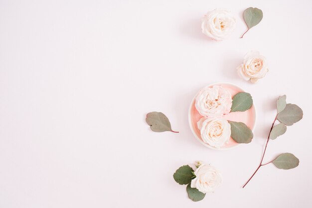 Beige roses and eucalyptus branches on pale pastel pink
