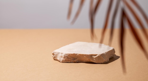 Beige stone slab on a light background with a dry palm leaf and shadow