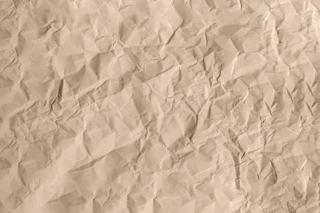 Beige Torn Paper with Crumpled Edge