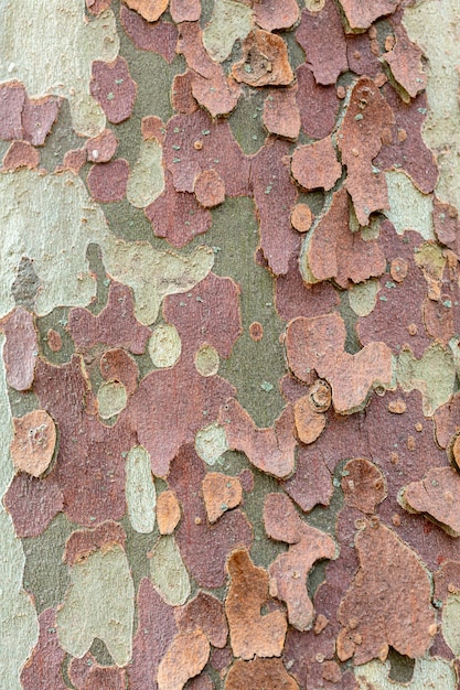 Beige with brown and green texture background