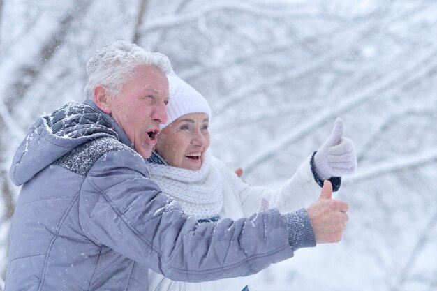 Bejaard echtpaar duimen omhoog glimlachend en verheugd in de ijzige winter