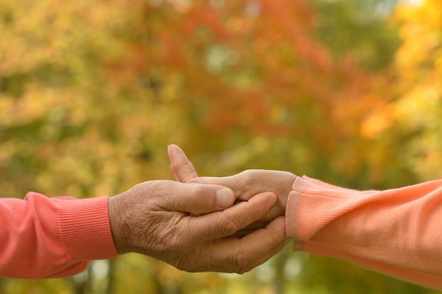 Bejaard echtpaar hand in hand in herfstpark