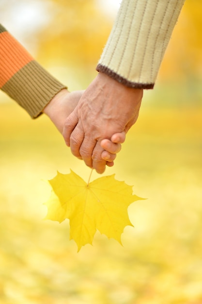 Bejaard echtpaar hand in hand in herfstpark