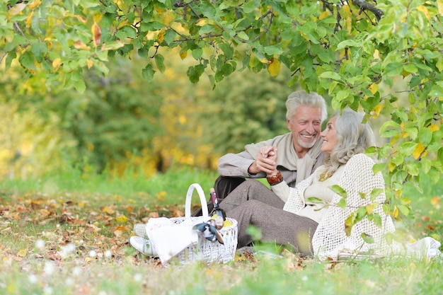 Bejaard mooi stel met een picknick in het herfstpark