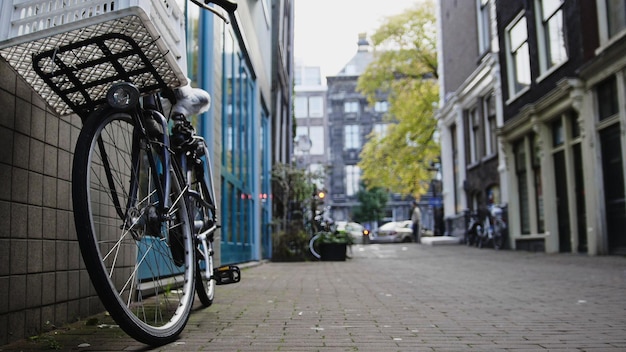 Bekijk fiets staande in de tuin op Amsterdam, zonnige Europese herfst, Nederland