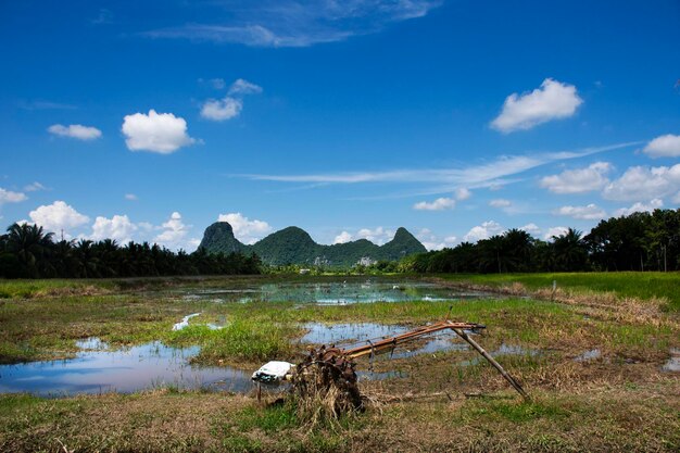 Bekijk landschap rijstveld en Khao Ok Thalu berg of Mount Oak Thalu op weide en cloudscape hemelwolken voor Thaise mensen reizigers reizen bezoek op het platteland in Phatthalung Thailand