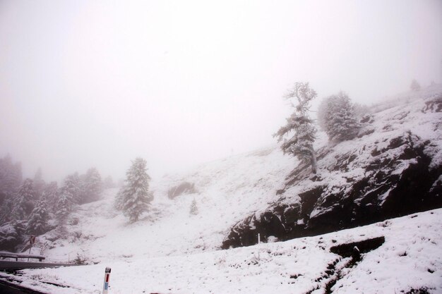 Bekijk landschap sneeuw sneeuwt bedekt op alpine boom op de top van de berg in het natuurpark Kaunergrat in de buurt van Pitztal Valley en Kaunertal Valley en Inntal Valley in de regio van Tirol Oostenrijk