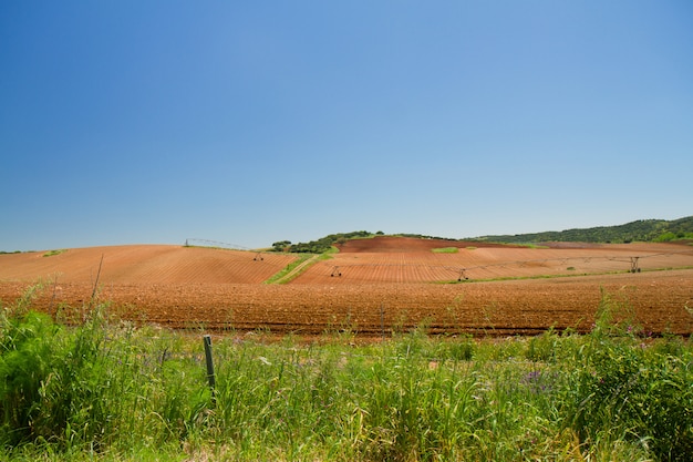 Bekijk op bruine landbouw veld en blauwe hemel