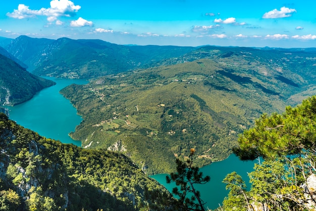 Bekijk op Perucac meer en rivier Drina van Tara berg in Servië