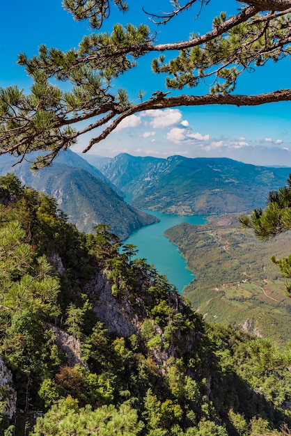 Bekijk op Perucac meer en rivier Drina van Tara berg in Servië