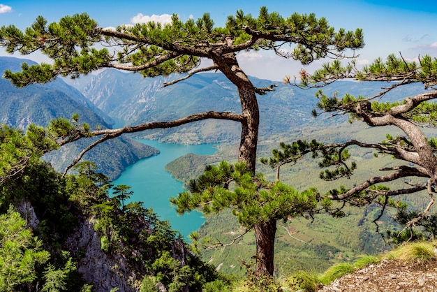 Bekijk op Perucac meer en rivier Drina van Tara berg in Servië