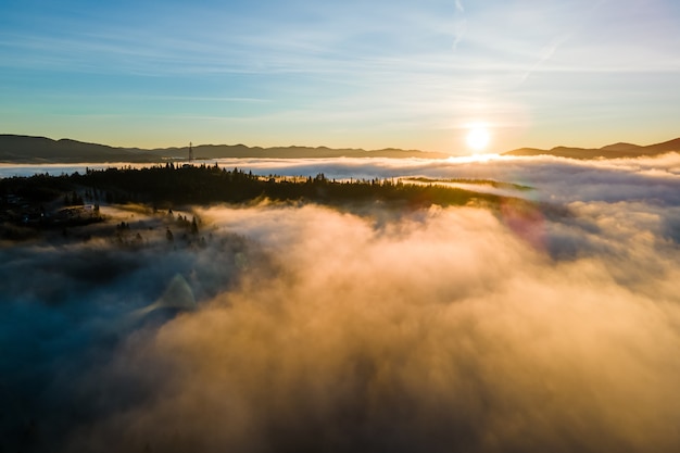 Bekijk van bovenaf donkere humeurige pijnbomen in sparren mistig bos met heldere zonsopgangstralen die door takken in herfstbergen schijnen.