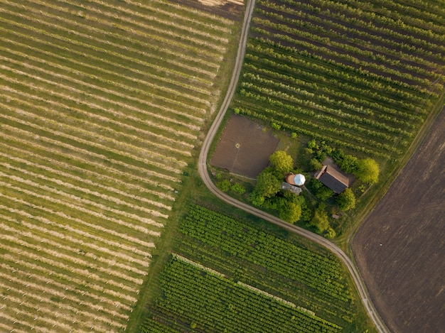 Bekijk van bovenaf op twee landbouwvelden beplant met verschillende gewassen met een weg voor auto's en een huis. Foto van de drone