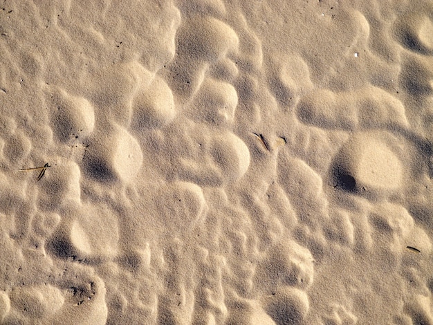 Bekijk van bovenaf op zand op het strand, kust met schelpen, voetafdrukken, planten, algen, takken achtergrondstructuur