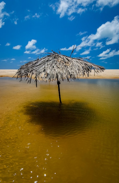 Bela beach conde vicino a joao pessoa paraiba costa nord-orientale del brasile