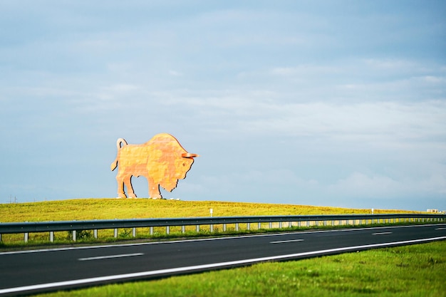 Foto agosto 2023 bielorussia il simbolo di belovezhskaya pushcha è un monumento a un bisonte lungo la strada