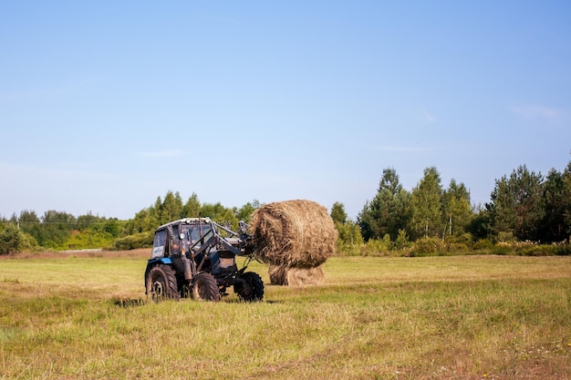 Трактор Беларусь работает в поле, собирая солому