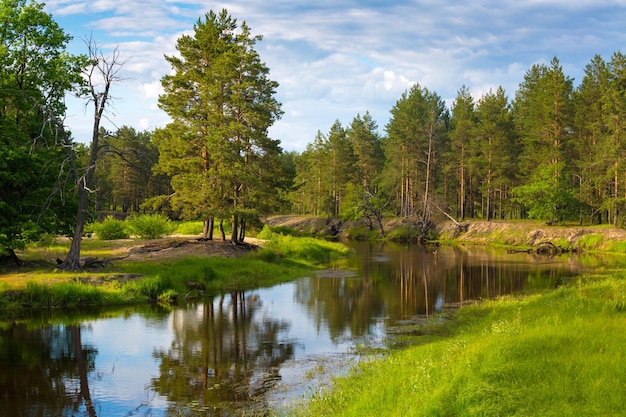 Fiume bielorusso ubarc' ubort