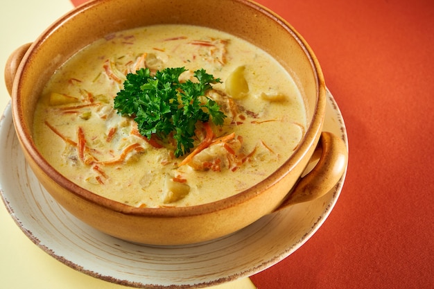 Belgian fish soup with Waterzooi in a clay plate on colored surface