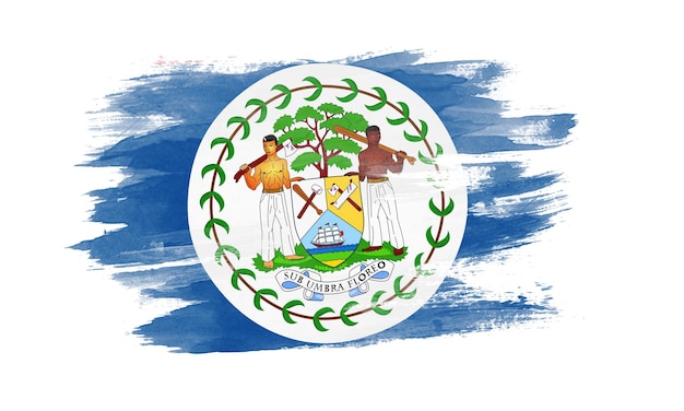 Belize flag brush stroke, national flag on white background