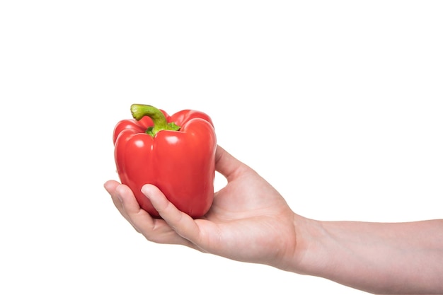 Bell pepper vegetable in hand isolated on white background