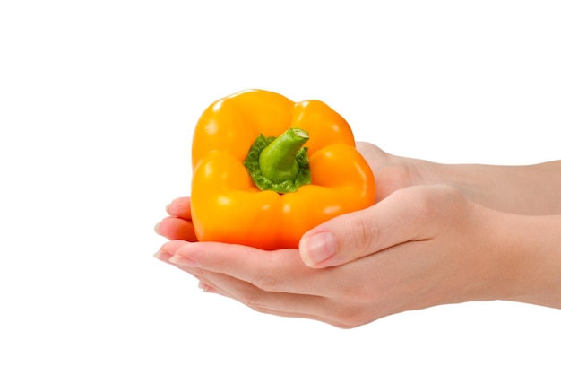 Bell pepper in woman hand isolated on white