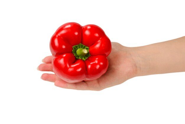 Bell pepper in woman hand isolated on white.