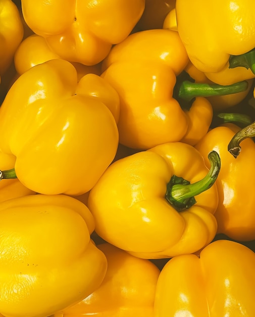 Bell peppers as healthy organic food background fresh vegetable at farmers market diet and agriculture