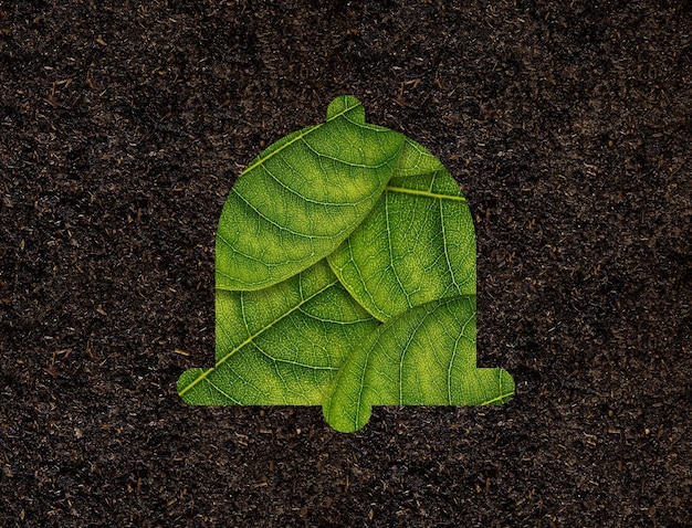 Bell Shape of green leaves on soil background ecology concept